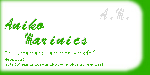 aniko marinics business card